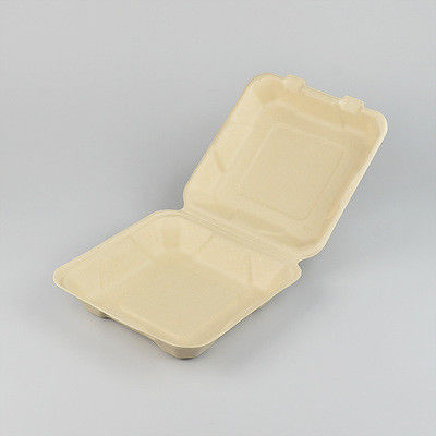 160*39mm Biodegradable Takeaway Food Containers 500ml ISO9001